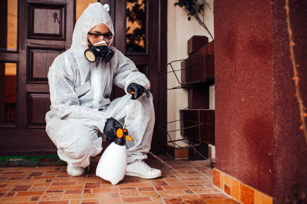 Reliable Bed Bug Control contractor in East Ridge, TN by Nex Pest Control