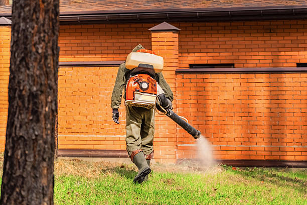 Trusted Ant Control service in East Ridge, TN - Nex Pest Control